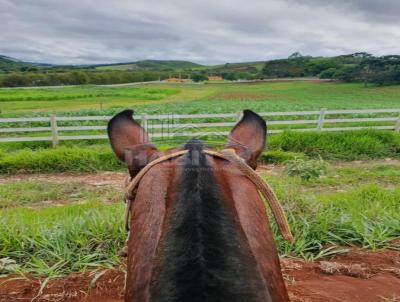 Haras para Venda na cidade de Lagoinha no bairro Bairro do Porto